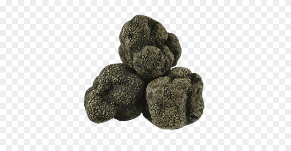 Truffles, Rock, Teddy Bear, Toy Free Png