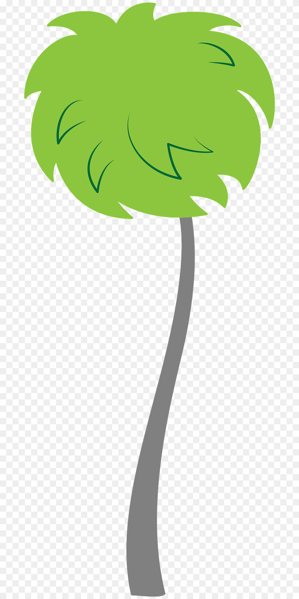 Truffula Tree Clipart, Leaf, Palm Tree, Plant, Green Png