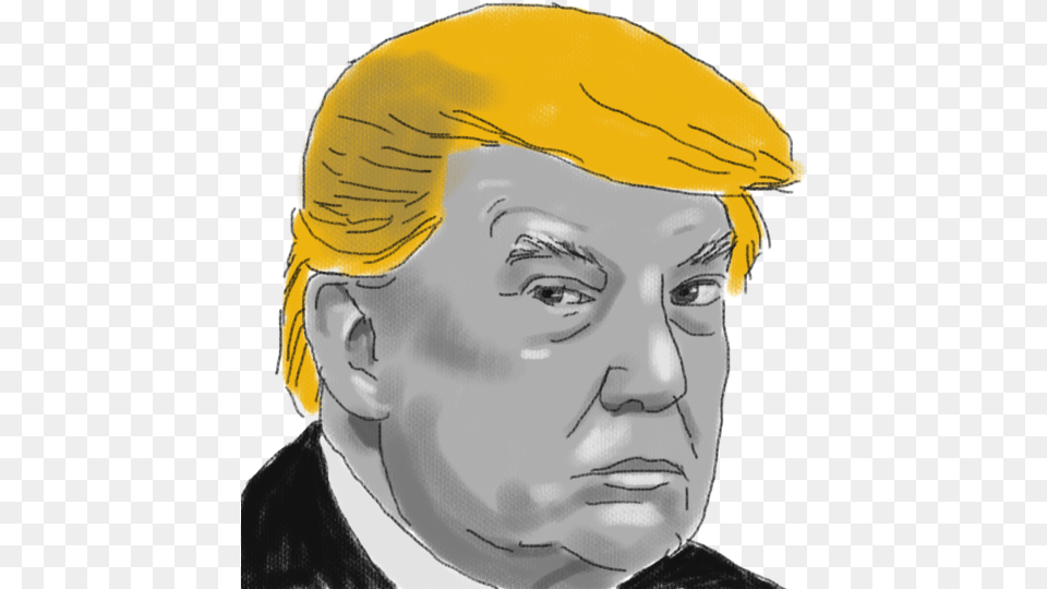 Trump Administration Donor Adviser Sketch, Portrait, Art, Drawing, Face Png