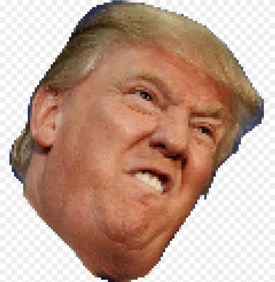 Trump Angry Face Transparent Donald Trump Head Transparent, Baby, Person, Photography, Portrait Png Image