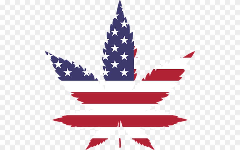 Trump Approved States Act Could Change Everything For Marijuana, American Flag, Flag, Leaf, Plant Free Transparent Png