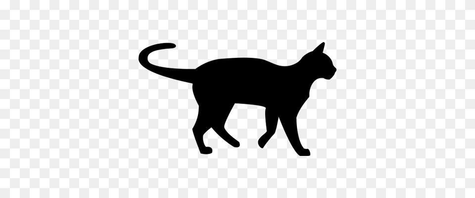 Trump Cat Transparent, Silhouette, Animal, Mammal, Pet Png