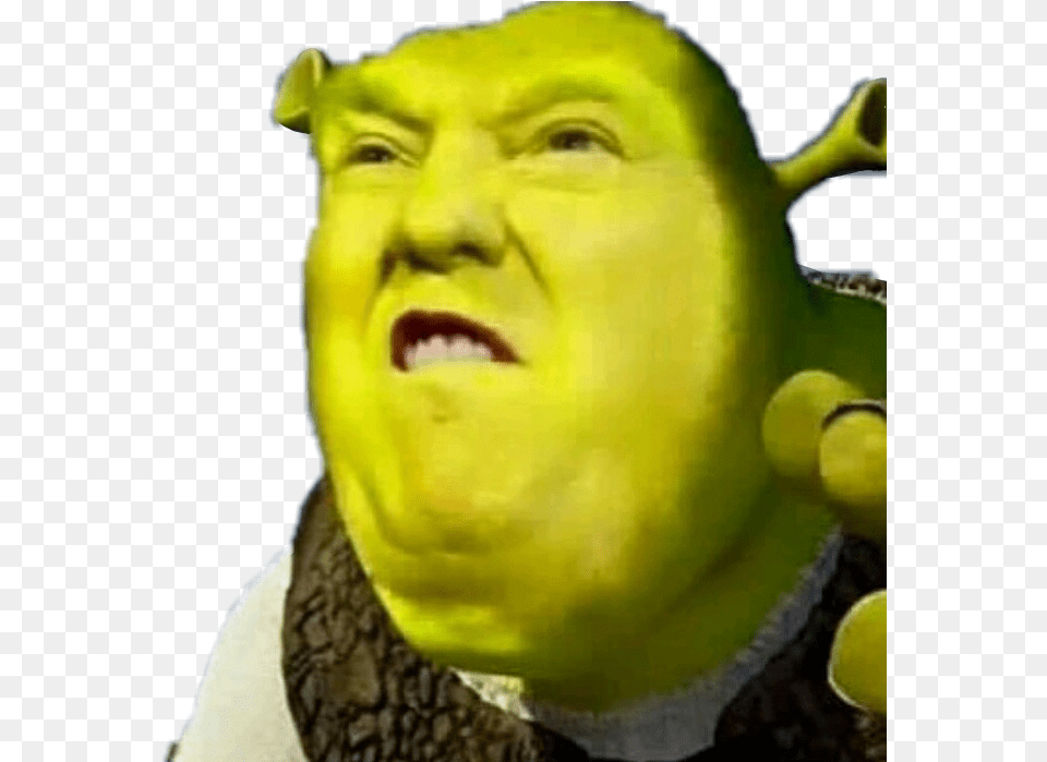 Trump Donaldtrump Shrek Meme Stealthis Stealthissticker Try Not To Laugh, Ball, Face, Head, Person Png