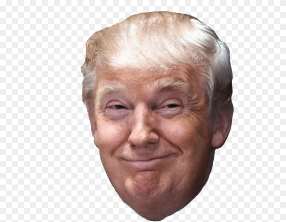 Trump Face Clipart Background Donald Trump Face, Adult, Portrait, Photography, Person Free Png Download
