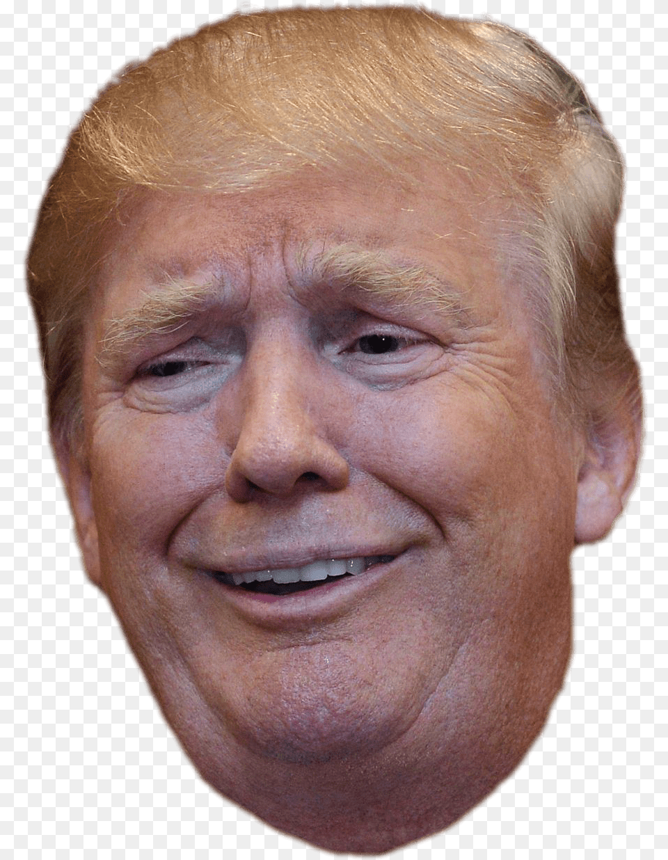 Trump Funny Face Donald Trump, Adult, Portrait, Photography, Person Free Png Download