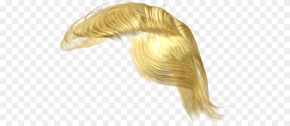 Trump Hair 5 Donald Trump Hair, Blonde, Person, Animal, Bird Png Image