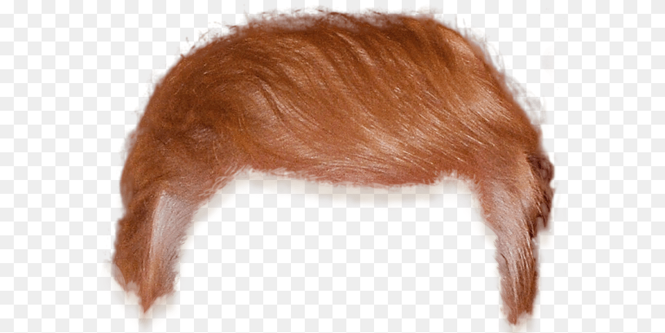 Trump Hair Cutout, Adult, Female, Person, Woman Png Image