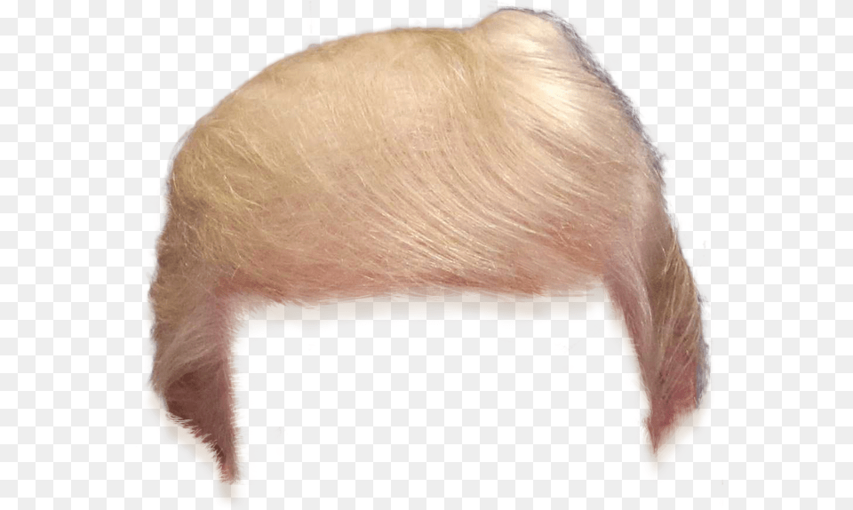 Trump Hair Transparent Clipart Trump Hair, Adult, Blonde, Female, Person Png Image