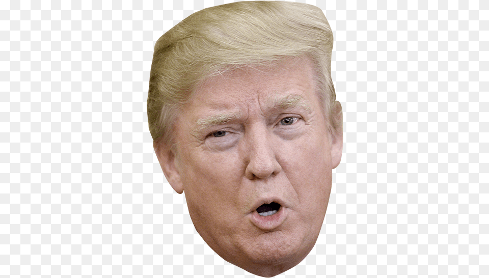 Trump Head Donald Trump, Adult, Sad, Portrait, Photography Free Png Download