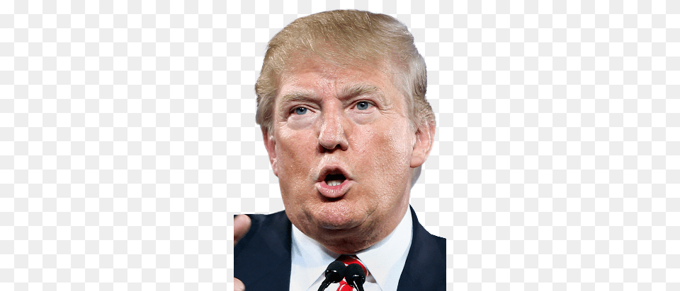 Trump On The Department Of Education Donald Trump Face Shape, Accessories, Person, People, Man Free Png Download