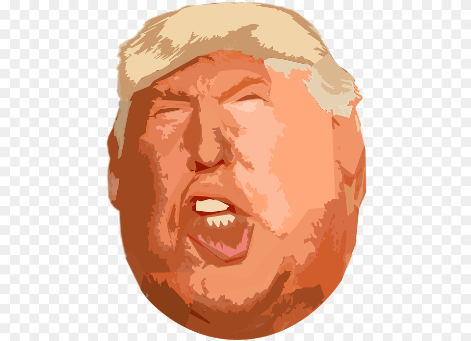 Trump President America American United States Trump Face Illustration, Head, Person, Photography, Portrait Free Png Download