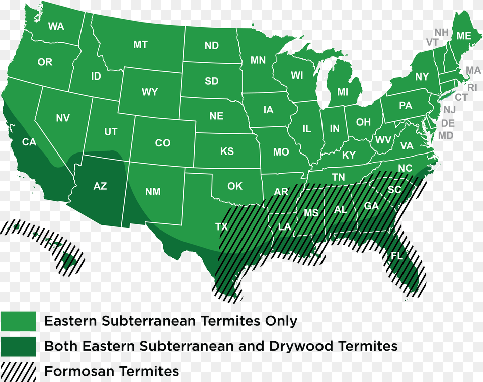 Trump Vs Hillary States Won, Chart, Plot, Map, Plant Png Image