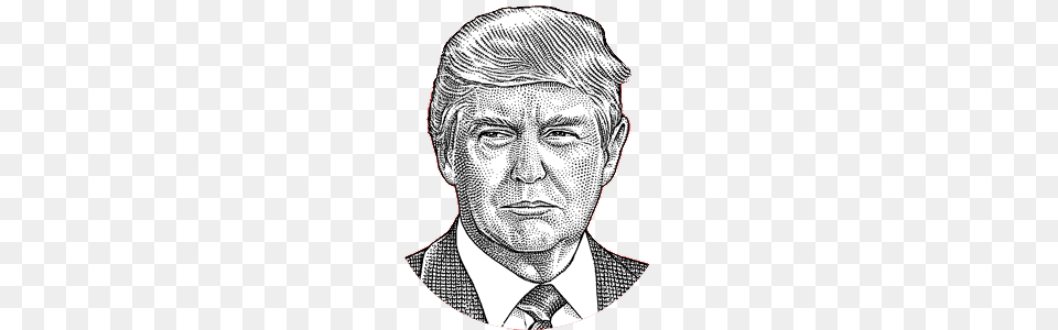 Trump With Nail On The Head Clip Art, Portrait, Drawing, Face, Photography Free Png