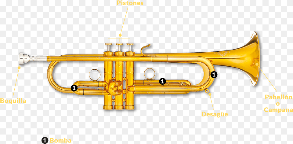 Trumpet, Brass Section, Horn, Musical Instrument, Smoke Pipe Png Image