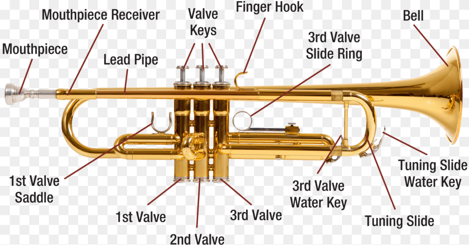 Trumpet Diagram, Brass Section, Horn, Musical Instrument, Flugelhorn Free Png Download