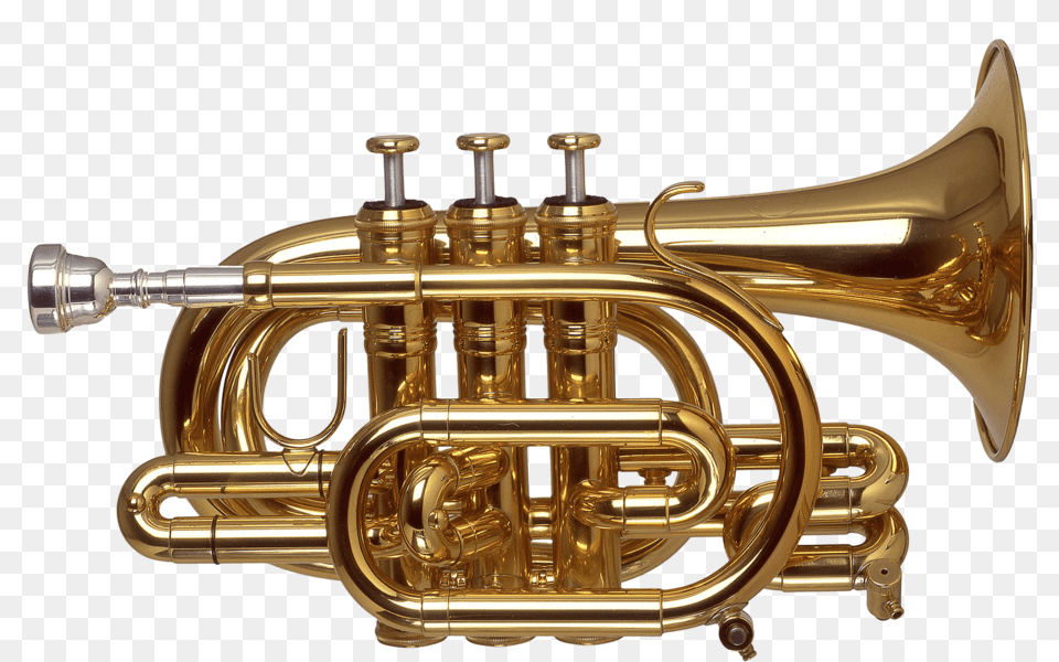 Trumpet Images On, Brass Section, Horn, Musical Instrument, Flugelhorn Free Png Download