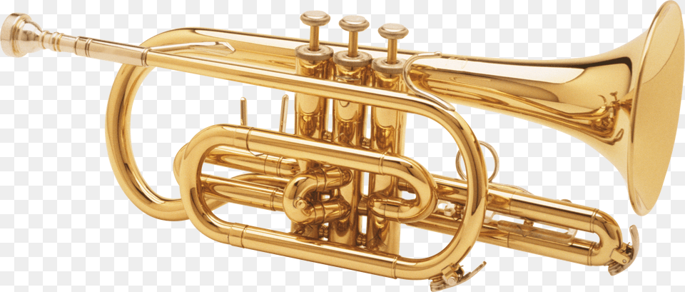 Trumpet Saxophone, Brass Section, Flugelhorn, Musical Instrument, Horn Free Png