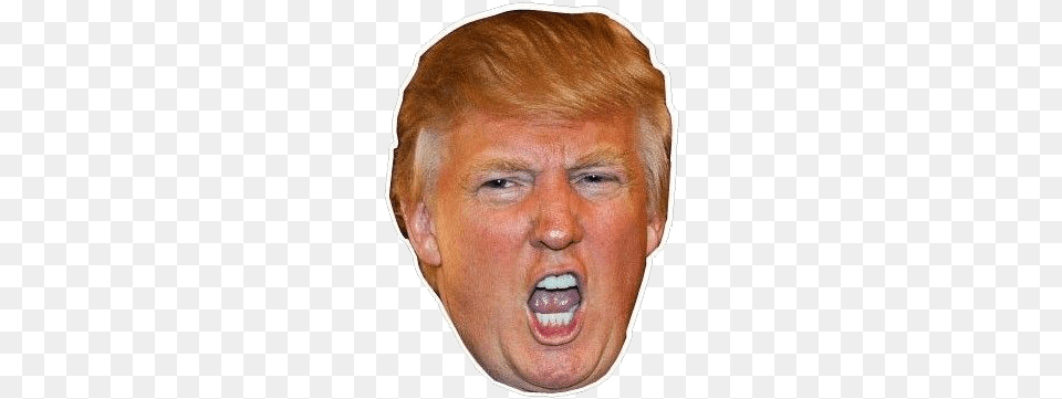 Trumps Head Cut Out, Face, Person, Baby, Photography Png