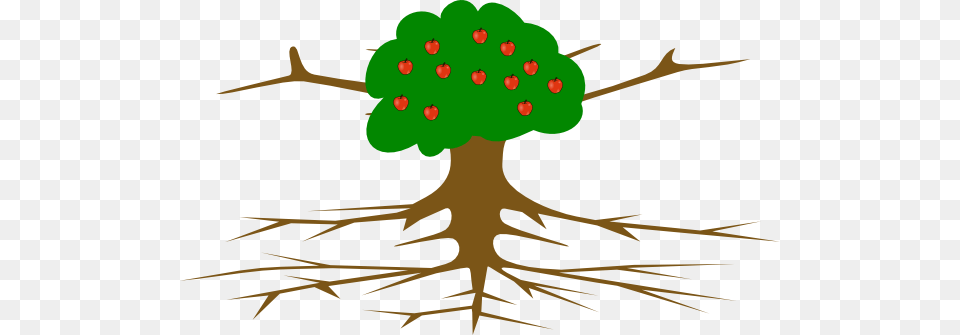 Trunk Clipart Apple Tree, Plant, Leaf, Pattern, Root Free Png