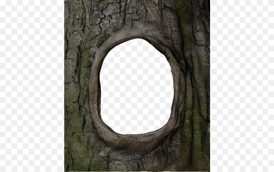 Trunk Frame Hole In Tree Trunk Dlya Moego Hobbi Trunk Free Png Download