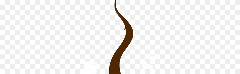 Trunk Images Icon Cliparts Png