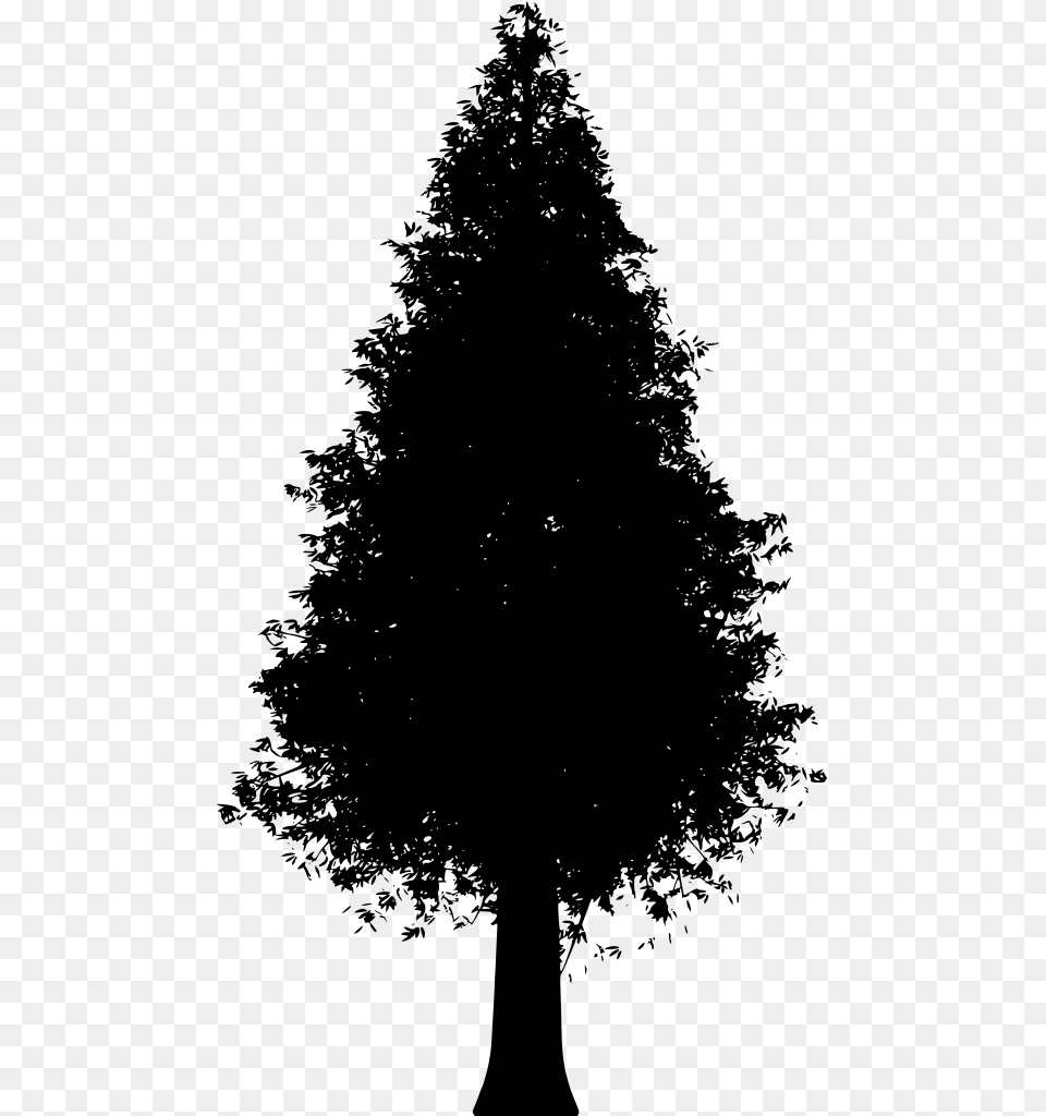 Trunk Spruce, Gray Free Transparent Png