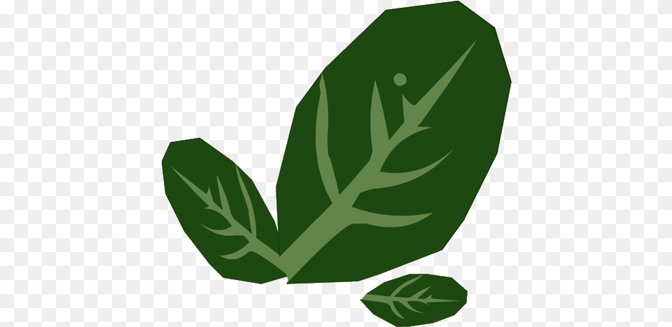 Trunknid Leaf Leaf, Herbal, Herbs, Mint, Plant Png Image