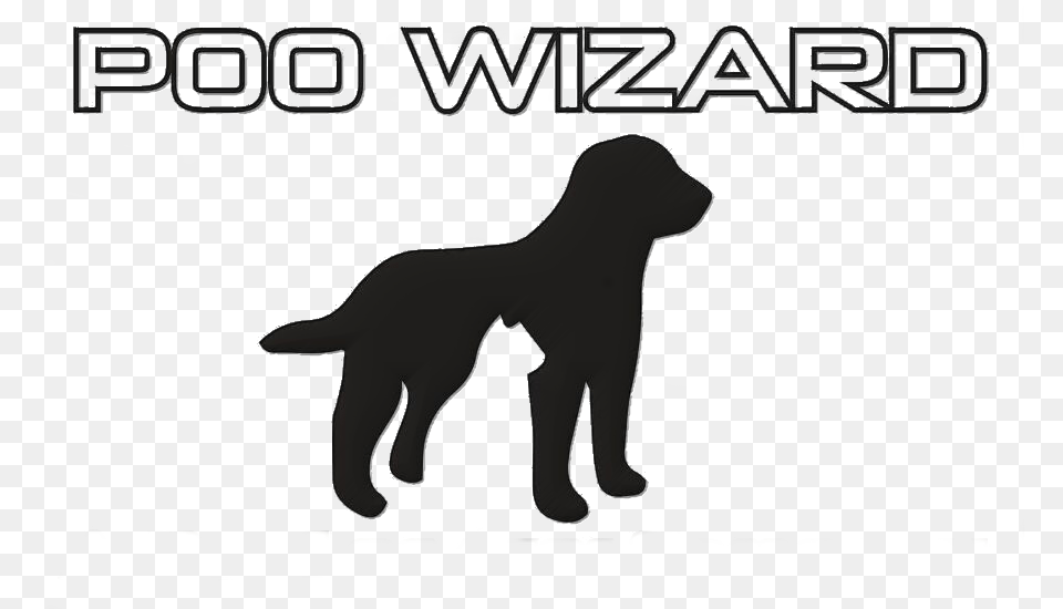 Truro Pet Services Company Dog Catches Something, Silhouette, Animal, Canine, Mammal Png