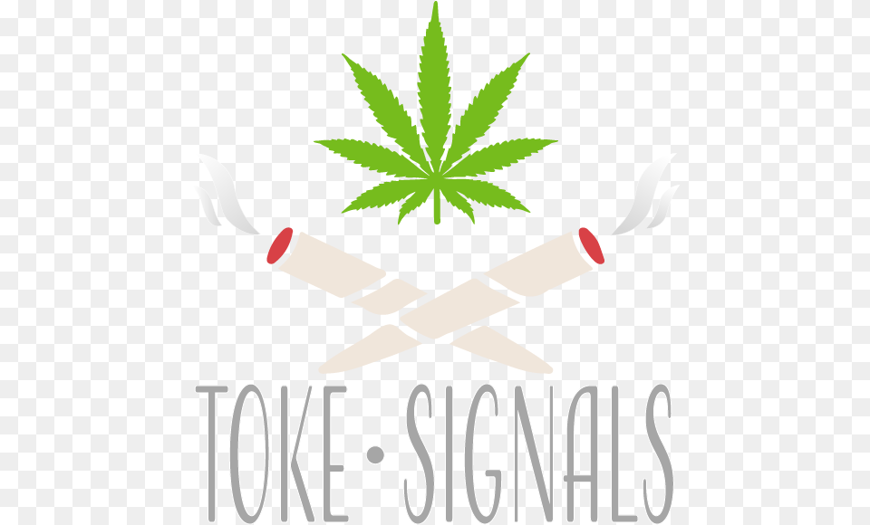 Trust Me I M Stoned, Leaf, Plant, Weed Png Image