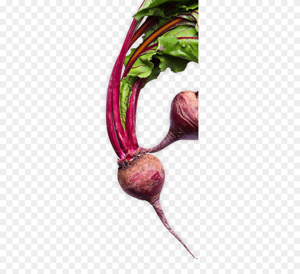 Try Our Ketchup Beetroot, Food, Produce, Plant, Turnip Free Transparent Png
