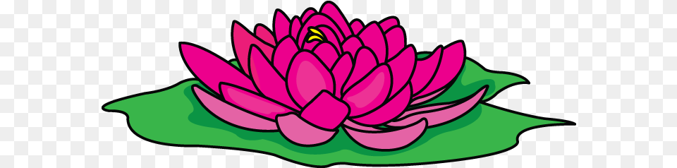 Try To Draw This Illustration Of A Beautiful Lotus Drawing, Dahlia, Flower, Plant, Lily Free Png