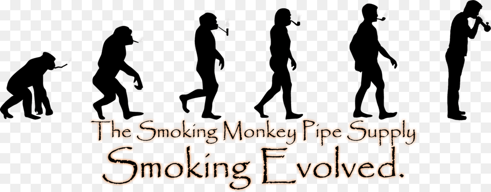 Tsmps Constant Evolution, Text, Lighting Free Png