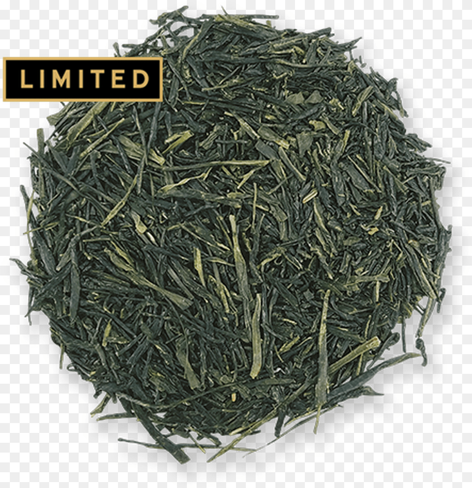 Tsuyuhikari Sencha Loose Leaf Green Tea From The Jasmine Shincha, Plant, Beverage, Green Tea Free Png