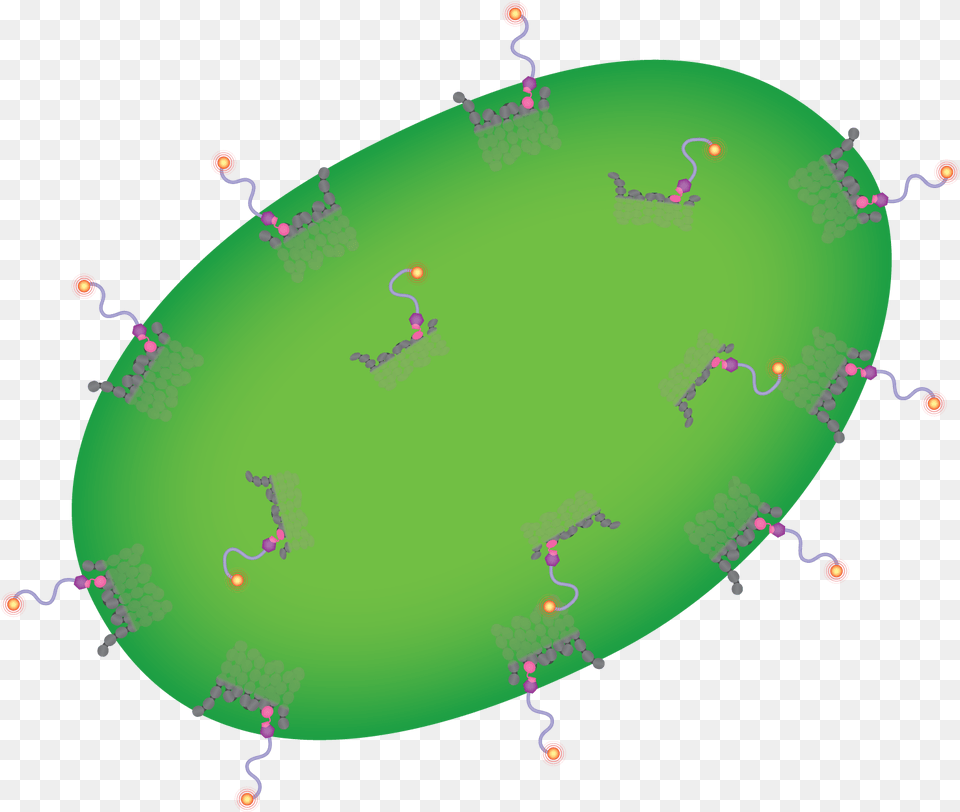 Tu Illustration, Oval, Sphere, Nature, Night Png