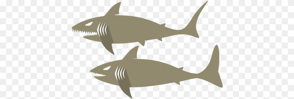 Tubarao Tubrao Shark, Animal, Fish, Sea Life, Tuna Png Image