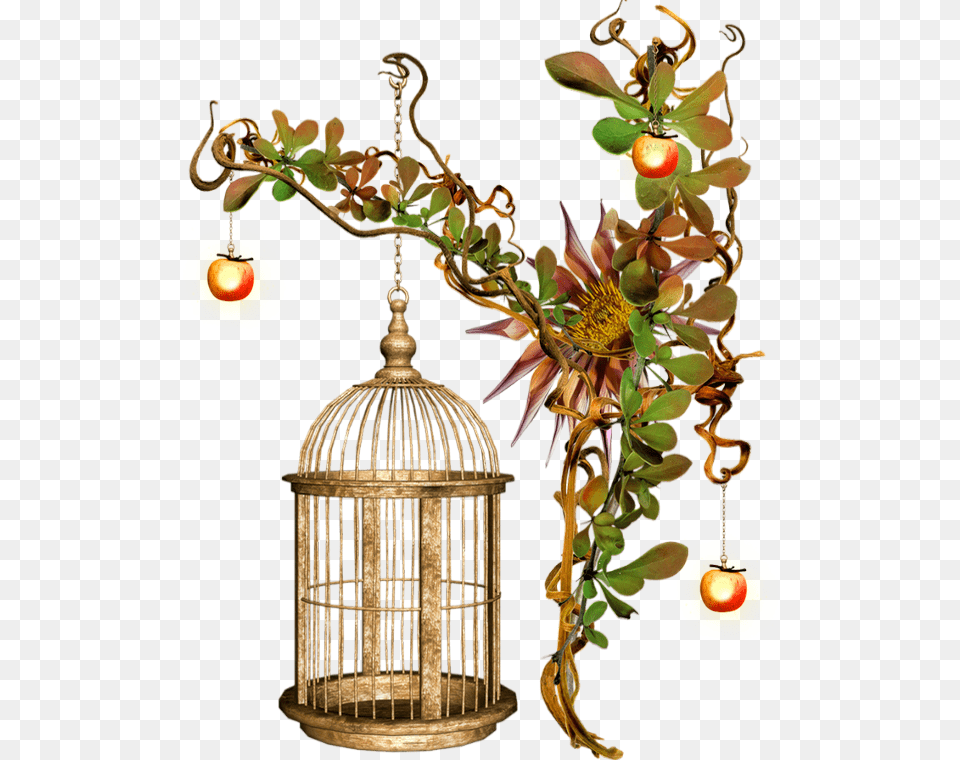 Tube Automne Cluster Cage Tube De Cage Oiseaux, Plant, Lamp Png