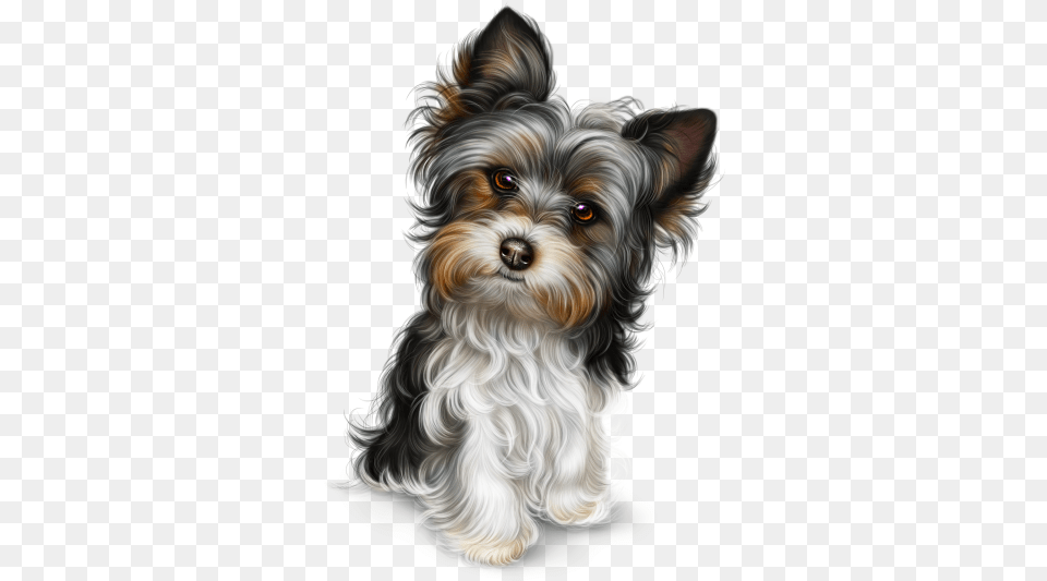 Tube Chien St Patrick, Animal, Canine, Dog, Mammal Free Png