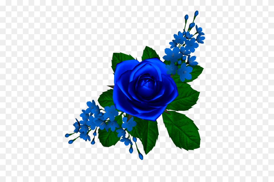 Tube Flores Rosa Azul Flowers Blue Roses And Rose, Flower, Plant, Flower Arrangement, Flower Bouquet Free Png Download