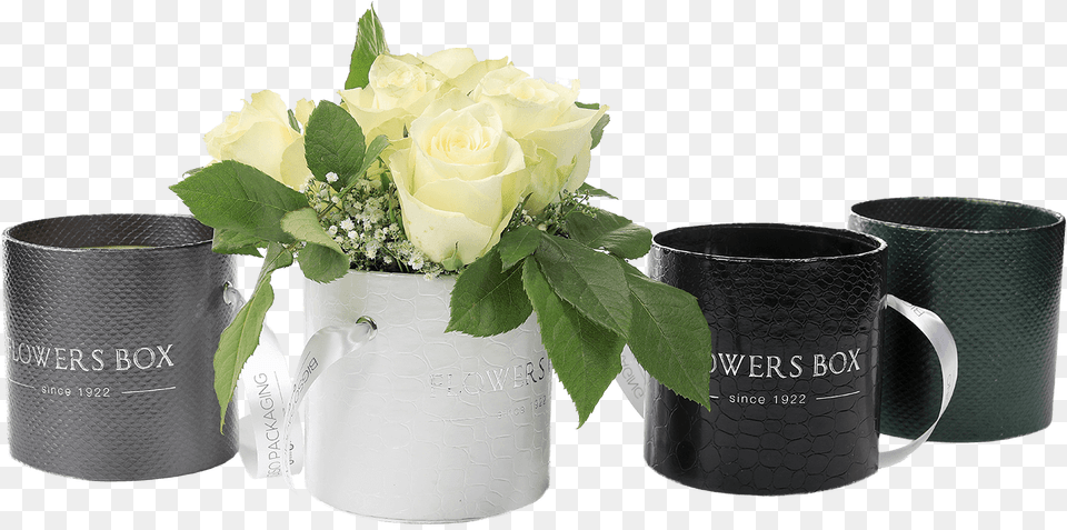 Tube Flower Box Garden Roses, Flower Arrangement, Flower Bouquet, Plant, Rose Free Png