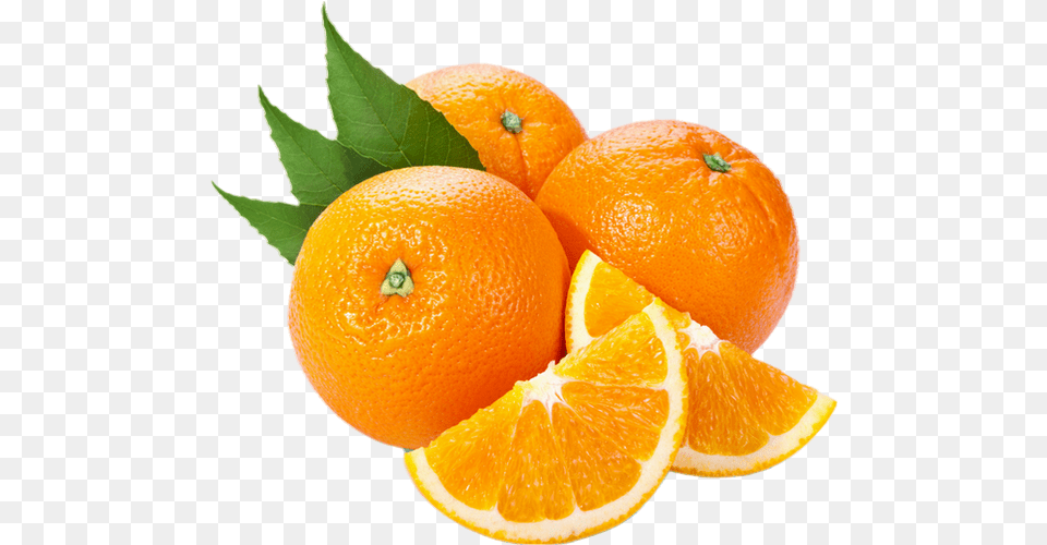 Tube Fruit Oranges Agrume Naranjas Citrus Agrumes, Citrus Fruit, Food, Orange, Plant Free Png
