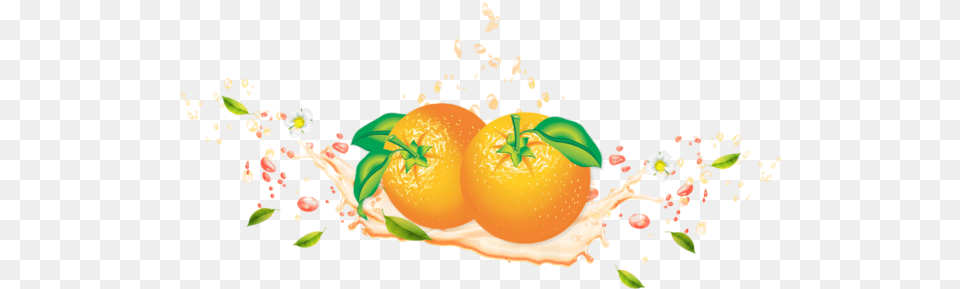 Tube Fruit Oranges Agrume Naranjas Citrus Clementine, Food, Plant, Produce, Citrus Fruit Png Image