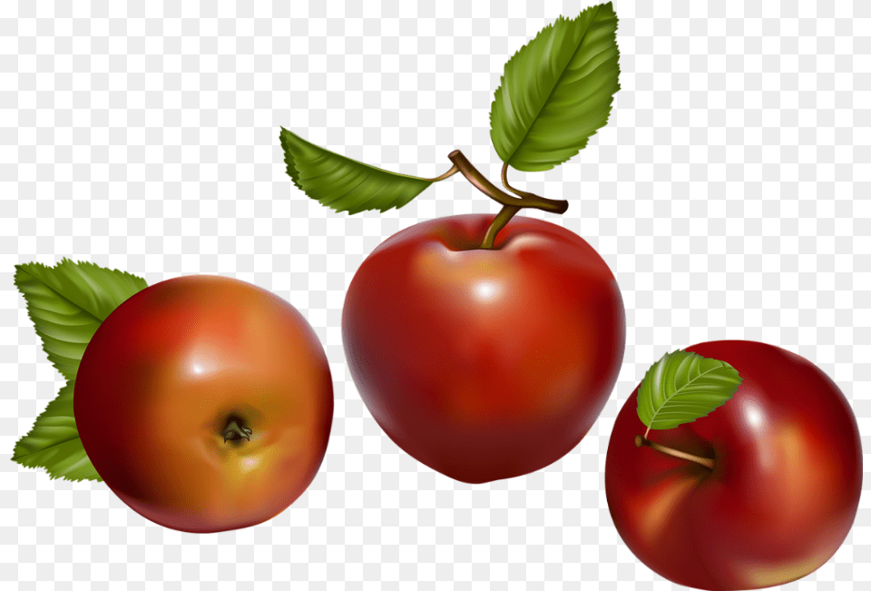 Tube Fruit Pommes Apples Manzanas Fruit Vector, Food, Plant, Produce, Apple Free Transparent Png