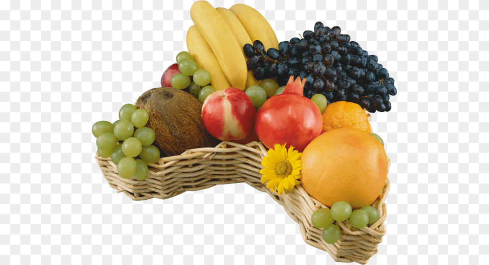 Tube Fruits Corbeille De Fruits, Produce, Plant, Fruit, Food Free Png