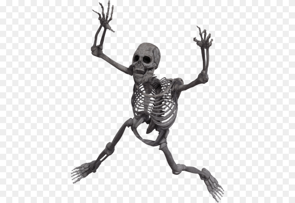 Tube Halloween Skeleton, Person Free Png Download
