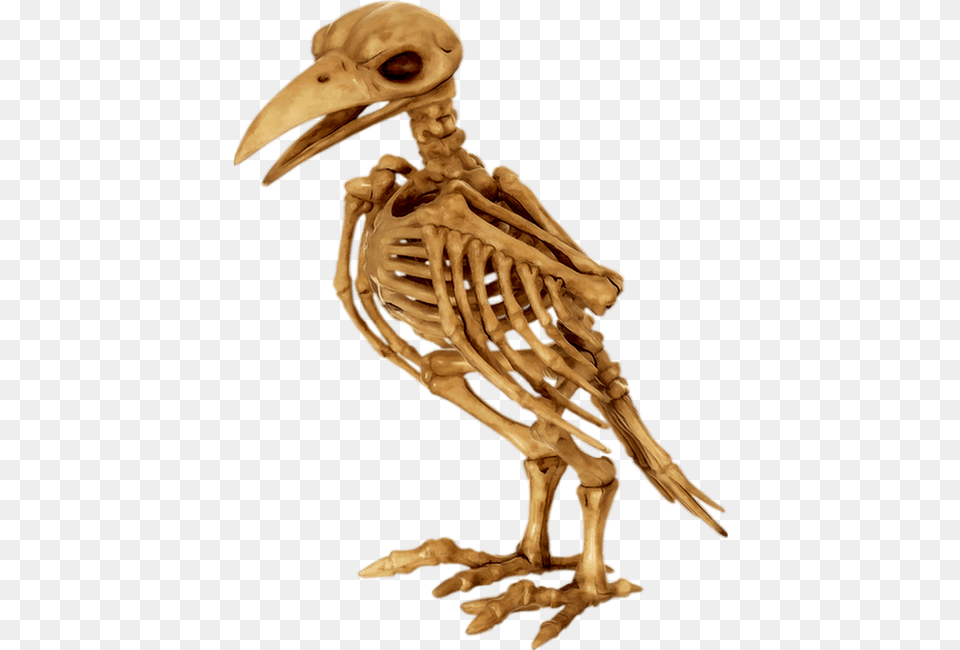 Tube Halloween Skeleton Of A Parrot, Animal, Antelope, Mammal, Wildlife Png Image