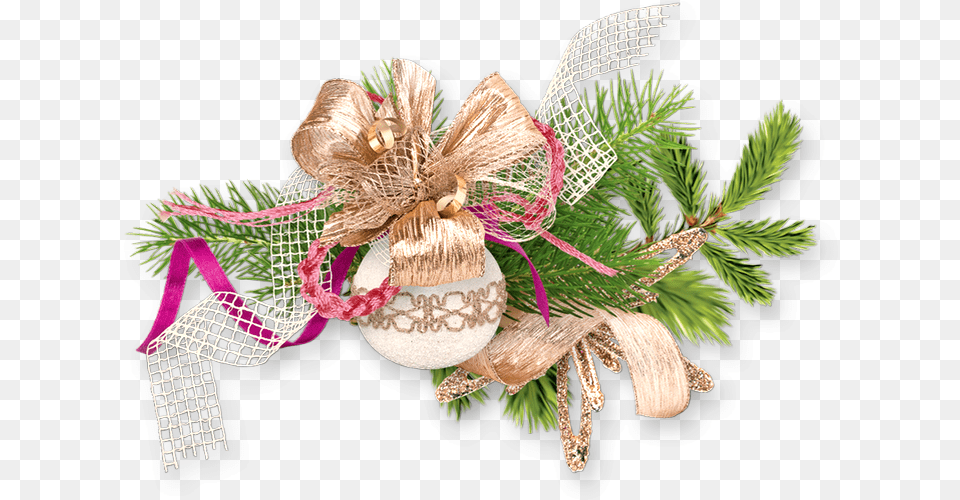 Tube Nol Cluster Christmas Day, Woman, Adult, Female, Tree Png