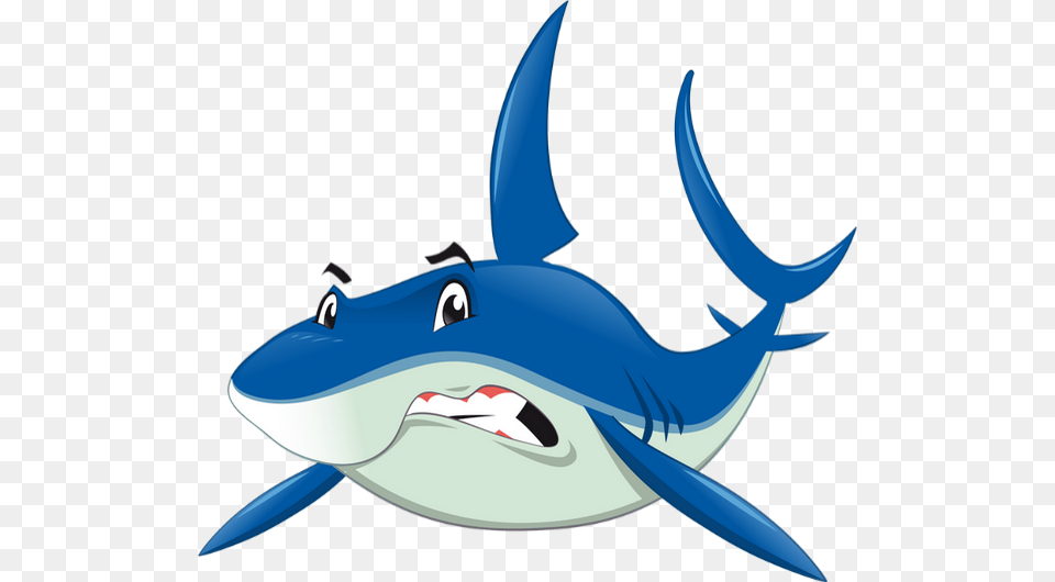 Tube Requin Dessin Dato Interesante Del Tiburn, Animal, Sea Life, Fish, Shark Free Png