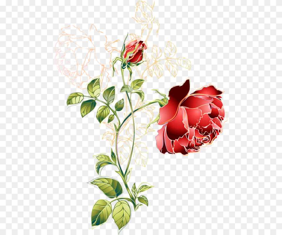 Tube Rose Rouge Dessin Rose, Art, Plant, Pattern, Floral Design Png