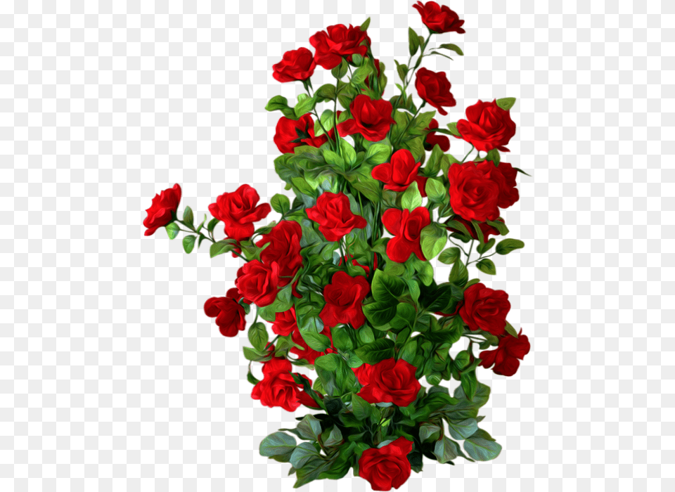 Tube Roses Rouges Fleur Rose Bush Background, Flower, Flower Arrangement, Flower Bouquet, Plant Free Transparent Png