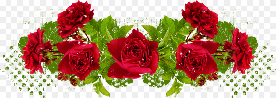 Tube Roses Rouges Floribunda, Flower, Plant, Rose, Art Free Transparent Png